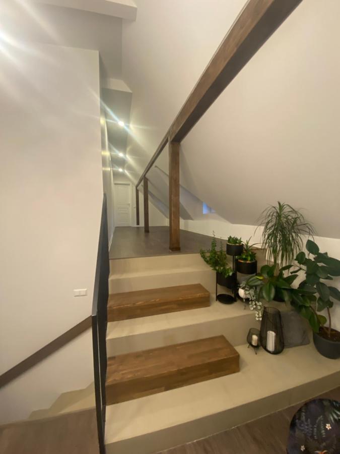 Kamurke - Guest House Šiauliai Eksteriør billede